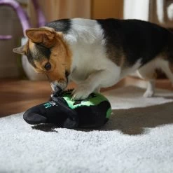 Frisco Halloween Bad Witch Round Plush Squeaky Dog Toy 2 Frisco Halloween Bad Witch Round Plush Squeaky Dog Toy -Pet Supplies Shop 344006 PT3. AC SS1800 V1657657029