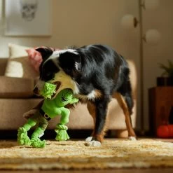 Frisco Halloween Goblin Plush With Rope Squeaky Dog Toy 2 Frisco Halloween Goblin Plush With Rope Squeaky Dog Toy -Pet Supplies Shop 344132 PT3. AC SS1800 V1657657042