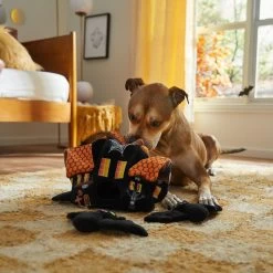 Frisco Halloween Haunted House Hide & Seek Puzzle Plush Squeaky Dog Toy -Pet Supplies Shop 344136 PT3. AC SS1800 V1657657042