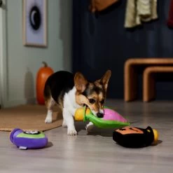 Frisco Halloween Potion Bottles Plush Squeaky Dog Toy -Pet Supplies Shop 344144 PT3. AC SS1800 V1657657048