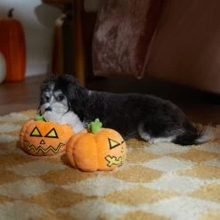 Frisco Halloween Scary Jack-O-Lantern Plush Squeaky Dog Toy 2 Frisco Halloween Scary Jack-O-Lantern Plush Squeaky Dog Toy -Pet Supplies Shop 344158 PT3. AC SS1800 V1657657048