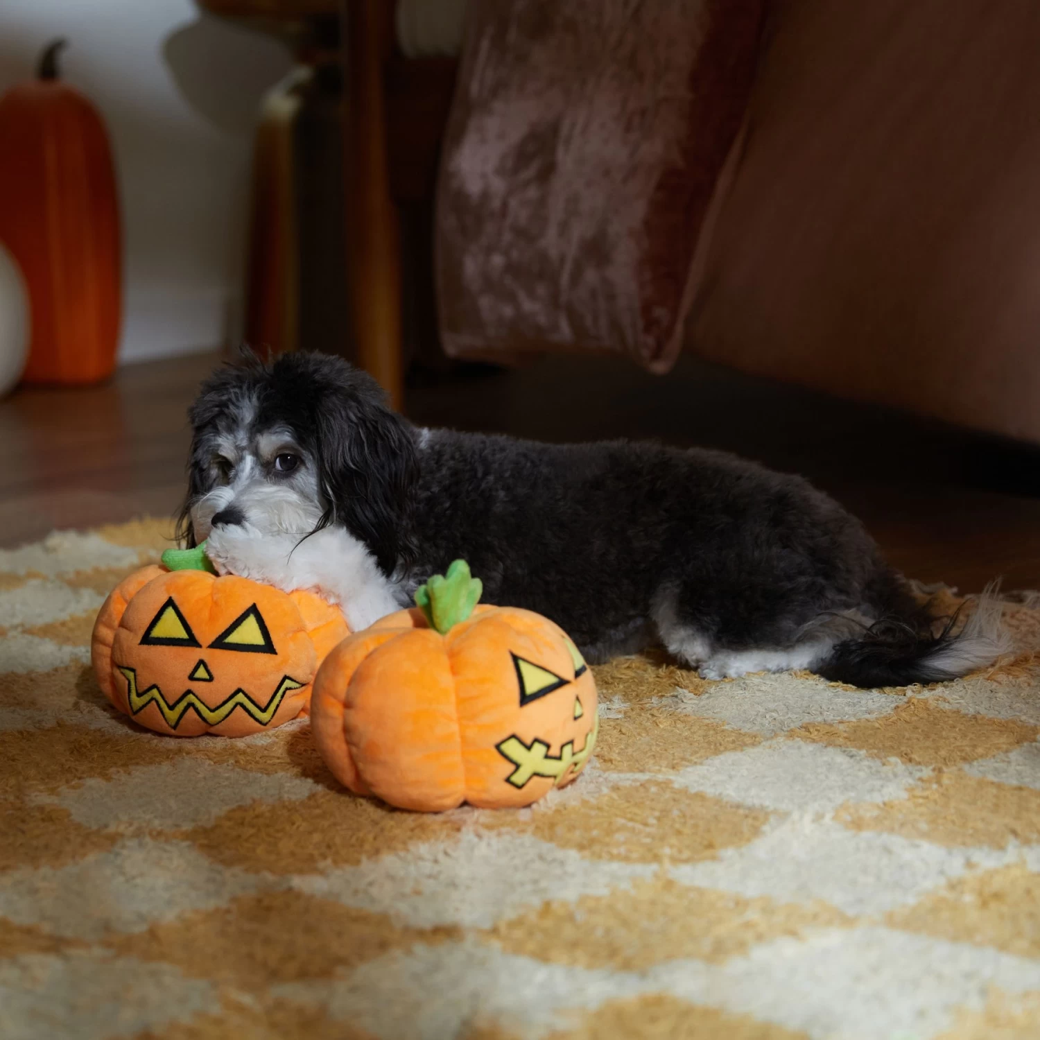 Frisco Halloween Scary Jack-O-Lantern Plush Squeaky Dog Toy Frisco Halloween Scary Jack-O-Lantern Plush Squeaky Dog Toy -Pet Supplies Shop 344158 PT3. AC SS1800 V1657657048