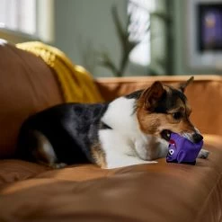 Frisco Halloween Vampire Latex Squeaky Dog Toy 2 Frisco Halloween Vampire Latex Squeaky Dog Toy -Pet Supplies Shop 344166 PT3. AC SS1800 V1657657049