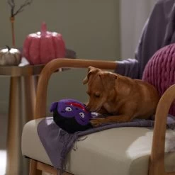 Frisco Halloween Vampire Round Plush Squeaky Dog Toy -Pet Supplies Shop 344168 PT3. AC SS1800 V1657657049