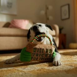 Frisco Halloween "Will Do Tricks For Treats" Sign Plush With Rope Squeaky Dog Toy -Pet Supplies Shop 344172 PT3. AC SS1800 V1657657049