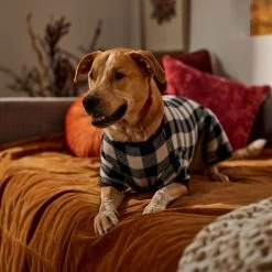 Frisco Plaid Dog & Cat Fleece Pajamas -Pet Supplies Shop 353755 PT6. AC SS1800 V1660749967