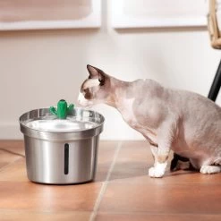 Frisco Stainless Steel Cactus & Leaf Dog & Cat Fountain
