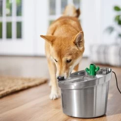 Frisco Stainless Steel Cactus & Leaf Dog & Cat Fountain -Pet Supplies Shop 355814 PT5. AC SS1800 V1665683869