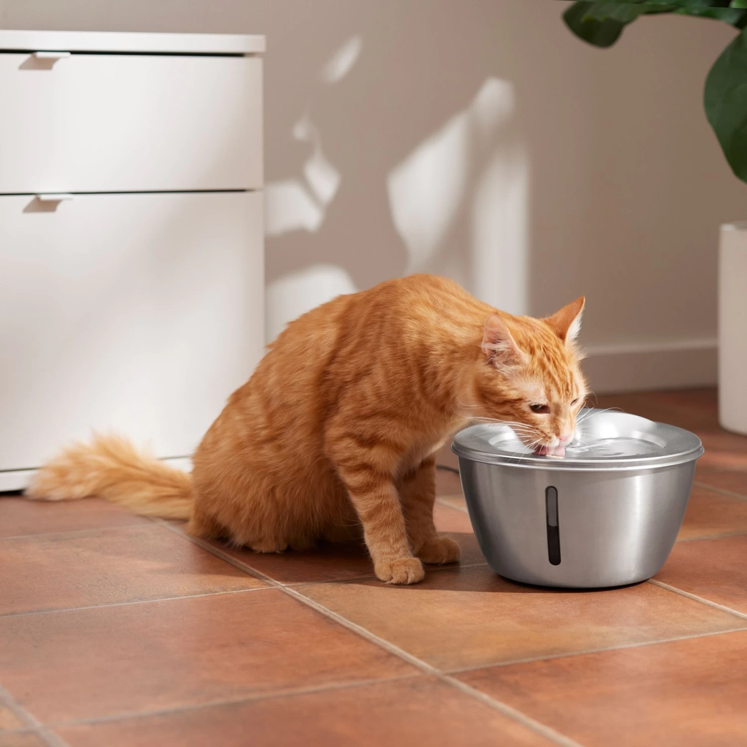 Frisco Stainless Steel Heart Dog & Cat Fountain Frisco Stainless Steel Heart Dog & Cat Fountain -Pet Supplies Shop 355816 MAIN. AC SS1800 V1665684199