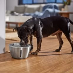 Frisco Stainless Steel Heart Dog & Cat Fountain 5 Frisco Stainless Steel Heart Dog & Cat Fountain -Pet Supplies Shop 355816 PT5. AC SS1800 V1665684540