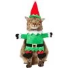 Frisco Front Walking Elf Dog & Cat Costume