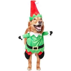 Frisco Front Walking Elf Dog & Cat Costume -Pet Supplies Shop 357956 PT3. AC SS1800 V1660760416