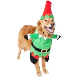 Frisco Front Walking Elf Dog & Cat Costume -Pet Supplies Shop 357956 PT4. AC SS1800 V1660757458