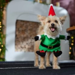 Frisco Front Walking Elf Dog & Cat Costume -Pet Supplies Shop 357956 PT7. AC SS1800 V1661799329
