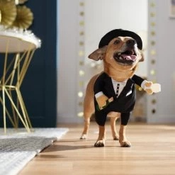 Frisco Front Walking New Years Tuxedo Dog & Cat Costume -Pet Supplies Shop 358028 PT7. AC SS1800 V1661799888