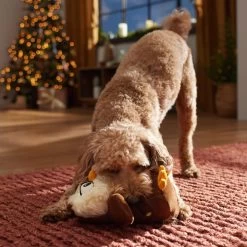 Frisco Holiday Festive Owl Plush Squeaky Dog Toy -Pet Supplies Shop 360919 PT3. AC SS1800 V1661874361