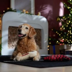 Frisco Holiday "Happy Pawlidays" Bone Plush Squeaky Dog Toy, Medium, 2 Count -Pet Supplies Shop 360942 PT3. AC SS1800 V1661874360