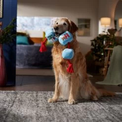 Frisco Holiday Ho Ho Ho Plush With Rope Squeaky Dog Toy 2 Frisco Holiday Ho Ho Ho Plush With Rope Squeaky Dog Toy -Pet Supplies Shop 360954 PT3. AC SS1800 V1661874421