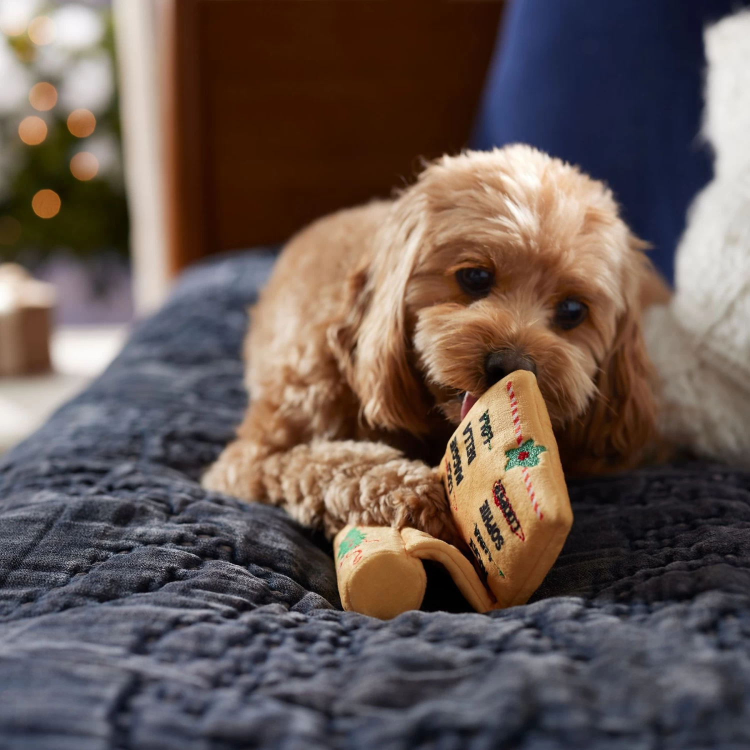 Frisco Holiday Santa's List Plush & TPR Inside Dog Toy Frisco Holiday Santa's List Plush & TPR Inside Dog Toy -Pet Supplies Shop 360970 PT3. AC SS1800 V1661874421