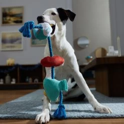 Frisco Hanukkah Celebration Plush With Rope Squeaky Dog Toy -Pet Supplies Shop 360986 PT3. AC SS1800 V1661874063