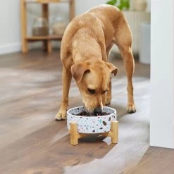 Frisco Elevated Terrazzo Non-skid Ceramic Bowl With Bamboo Stand 2 Frisco Elevated Terrazzo Non-skid Ceramic Bowl With Bamboo Stand -Pet Supplies Shop 363375 PT2. AC SS1800 V1657657266