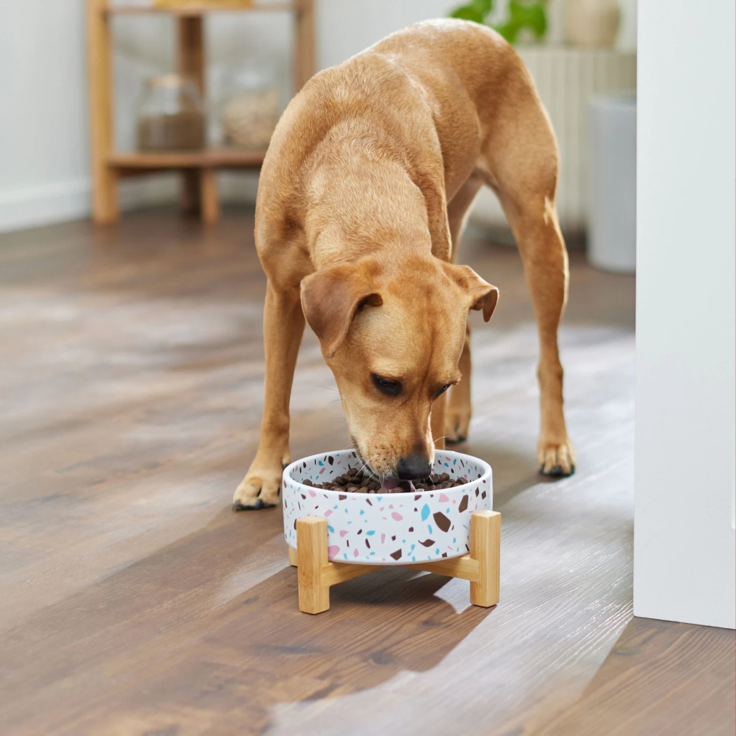Frisco Elevated Terrazzo Non-skid Ceramic Bowl with Bamboo Stand Frisco Elevated Terrazzo Non-skid Ceramic Bowl With Bamboo Stand -Pet Supplies Shop 363375 PT2. AC SS1800 V1657657266