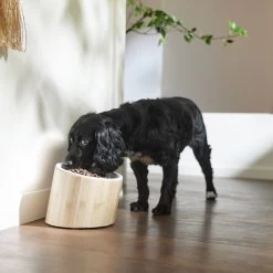 Frisco Elevated Slanted Bamboo Melamine Non-Skid Dog Bowl With Bamboo Stand 2 Frisco Elevated Slanted Bamboo Melamine Non-Skid Dog Bowl With Bamboo Stand -Pet Supplies Shop 363387 PT2. AC SS1800 V1657657267