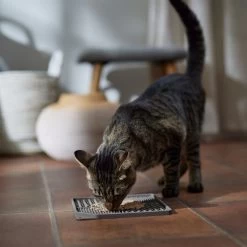 Frisco Non-skid Square Silicone Dog & Cat Lick Mat -Pet Supplies Shop 363402 PT3. AC SS1800 V1665170734