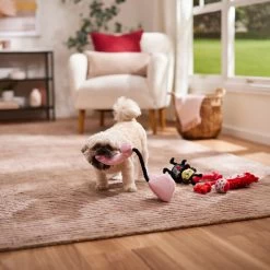 Frisco Valentine Rope, TPR & Plush Variety Pack Dog Toy -Pet Supplies Shop 371077 PT3. AC SS1800 V1668737456