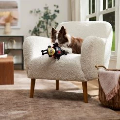 Frisco Valentine Jammin' Ladybug Plush Squeaky Dog Toy -Pet Supplies Shop 371083 PT3. AC SS1800 V1668737455