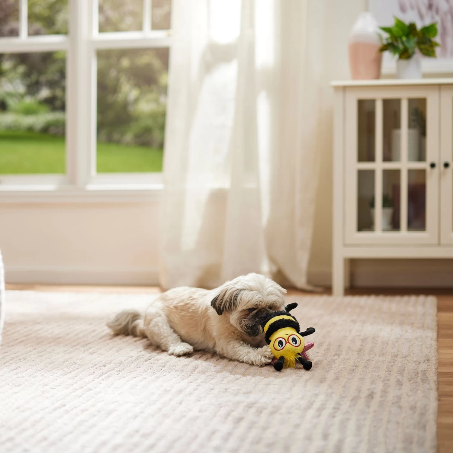 Frisco Valentine Love Buzz Bee Plush Squeaky Dog Toy Frisco Valentine Love Buzz Bee Plush Squeaky Dog Toy -Pet Supplies Shop 371085 PT3. AC SS1800 V1668737458