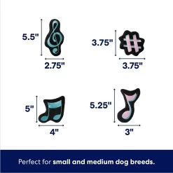 Frisco Valentine Love Song Record Player Hide & Seek Puzzle Plush Squeaky Dog Toy -Pet Supplies Shop 371087 PT2. AC SS1800 V1701364927