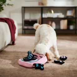 Frisco Valentine Love Song Record Player Hide & Seek Puzzle Plush Squeaky Dog Toy -Pet Supplies Shop 371087 PT3. AC SS1800 V1668737233