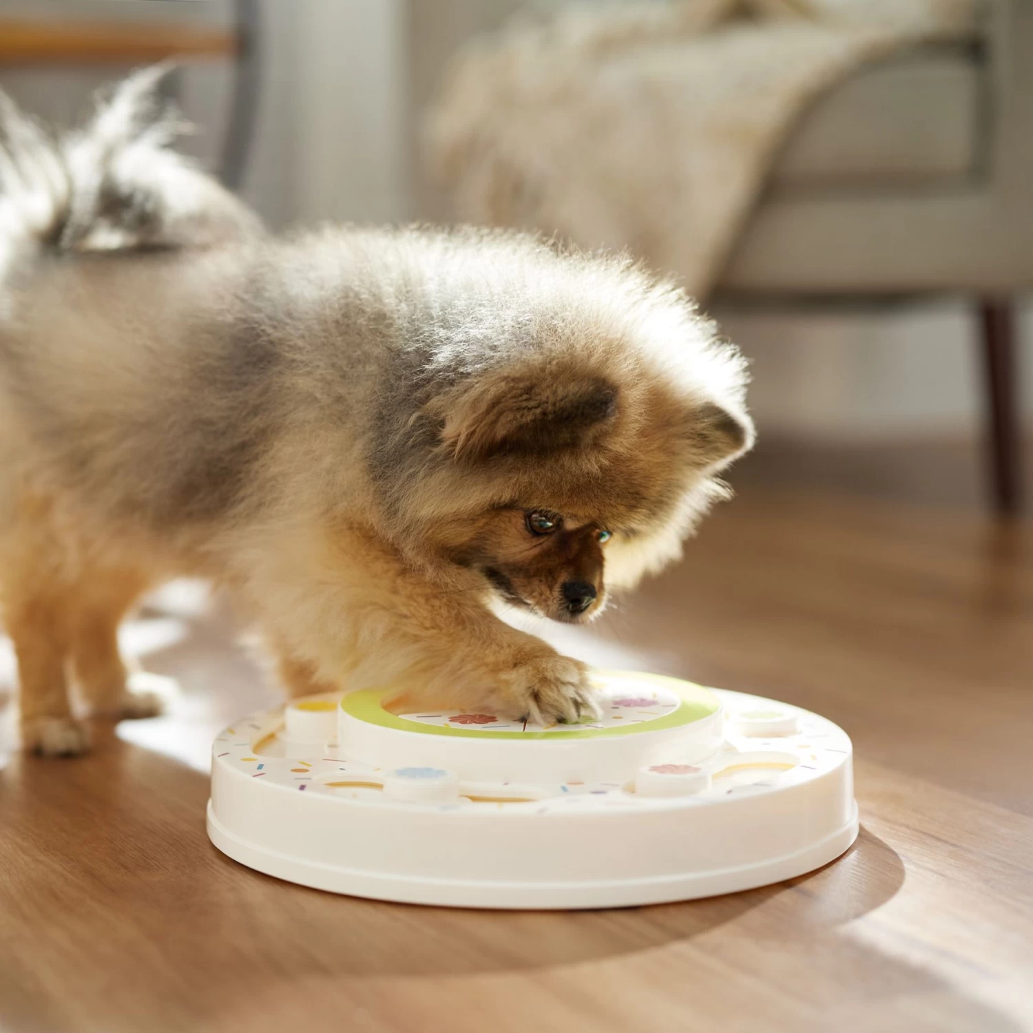 Frisco Tiered Cake Interactive Puzzle Dog Toy, Easy Frisco Tiered Cake Interactive Puzzle Dog Toy, Easy -Pet Supplies Shop 506346 PT5. AC SS1800 V1674666566