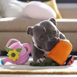 Frisco Spring Potted Plant And Watering Can Plush Squeaky Dog Toy -Pet Supplies Shop 541494 PT4. AC SS1800 V1702500565