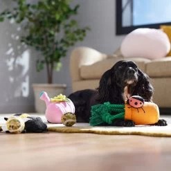 Frisco Spring Plush & Rope Variety Pack Squeaky Dog Toy 3 Frisco Spring Plush & Rope Variety Pack Squeaky Dog Toy -Pet Supplies Shop 541526 PT4. AC SS1800 V1702500565