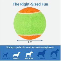 Frisco Dumbbell TPR Fetch Dog Toy + 3 Items -Pet Supplies Shop 582446 PT6. AC SS1800 V1658238980