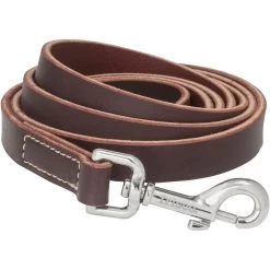 Frisco Top Grain Leather Leash + 4 Items -Pet Supplies Shop 630958 PT3. AC SS1800 V1662739527