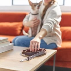 Frisco Top Grain Leather Leash + 4 Items -Pet Supplies Shop 630958 PT4. AC SS1800 V1662742186