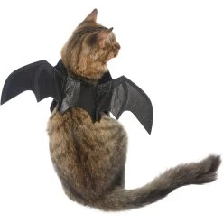 Frisco Bat Wings Dog & Cat Costume & Buckle-Down Batman Shield Polyester Dog Collar -Pet Supplies Shop 638566 PT2. AC SS1800 V1663254513
