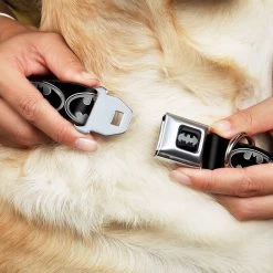 Frisco Bat Wings Dog & Cat Costume & Buckle-Down Batman Shield Polyester Dog Collar -Pet Supplies Shop 638566 PT6. AC SS1800 V1663254111