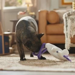 Frisco Halloween Bunny Ghost Plush Squeaky Dog Toy -Pet Supplies Shop 667878 PT3. AC SS1800 V1689340856