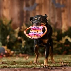 Frisco Halloween Ghost Swirl Fetch Flyer Dog Toy -Pet Supplies Shop 668294 PT3. AC SS1800 V1689278363