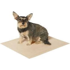 Frisco Large Eco-Conscious Dog Training & Potty Pads & American Journey Peanut Butter Recipe Grain-Free Oven Baked Crunchy Biscuit Dog Treats 3 Frisco Large Eco-Conscious Dog Training & Potty Pads & American Journey Peanut Butter Recipe Grain-Free Oven Baked Crunchy Biscuit Dog Treats -Pet Supplies Shop 678574 PT3. AC SS1800 V1667863365