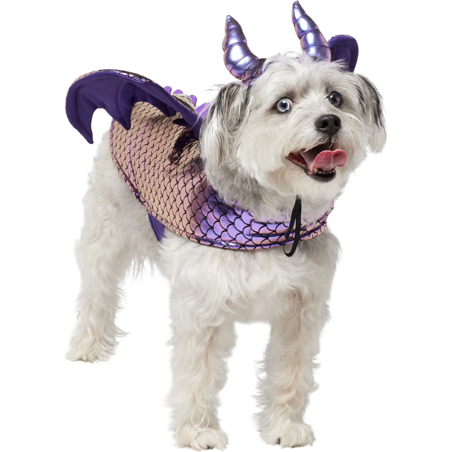 Frisco Dragon Dog & Cat Costume Accessory Frisco Dragon Dog & Cat Costume Accessory -Pet Supplies Shop 706582 MAIN. AC SS1800 V1689271214