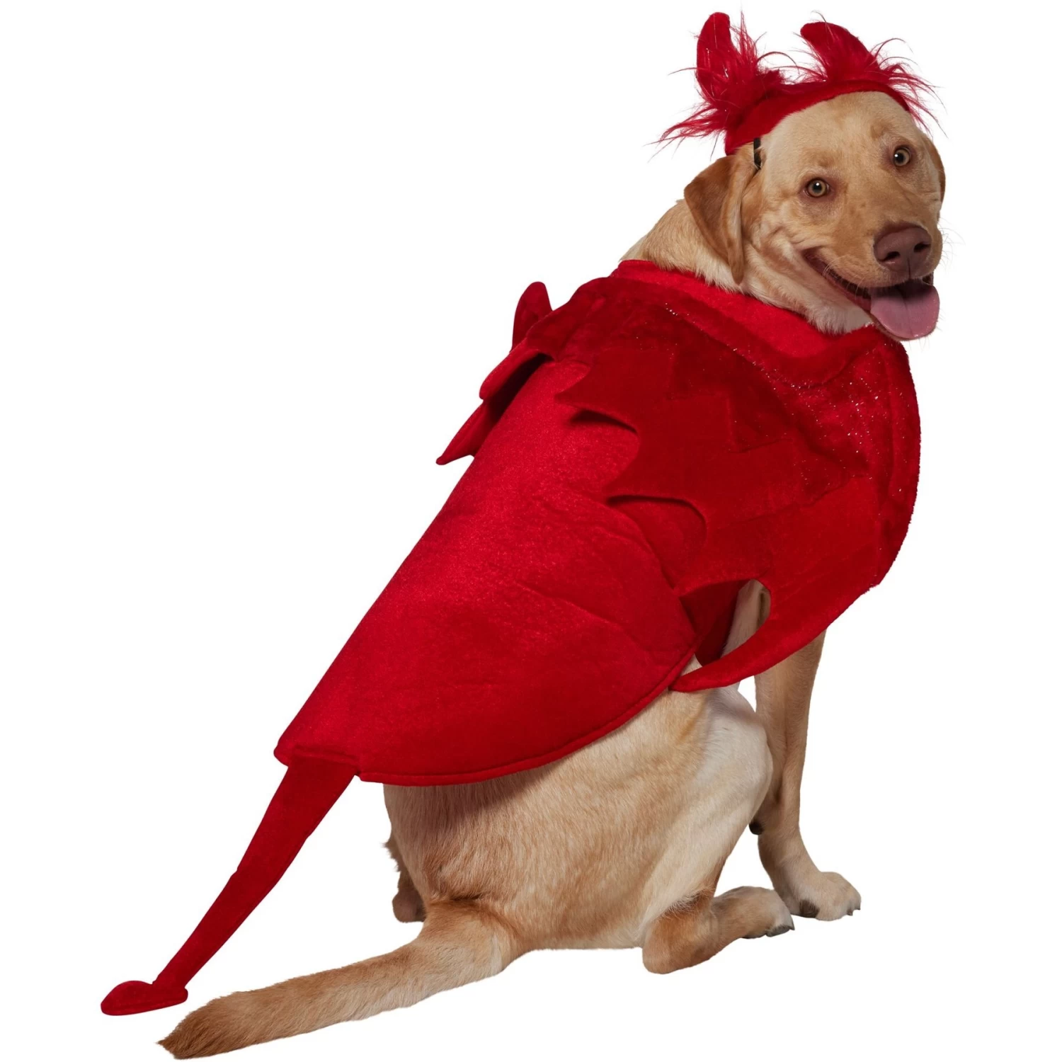 Frisco My Little Devil Dog & Cat Costume Accessory Frisco My Little Devil Dog & Cat Costume Accessory -Pet Supplies Shop 706622 PT3. AC SS1800 V1689278848