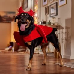 Frisco My Little Devil Dog & Cat Costume Accessory 6 Frisco My Little Devil Dog & Cat Costume Accessory -Pet Supplies Shop 706622 PT7. AC SS1800 V1689342200