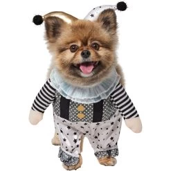 Frisco Front Walking Glitter Clown Dog & Cat Costume -Pet Supplies Shop 707542 PT2. AC SS1800 V1689351699