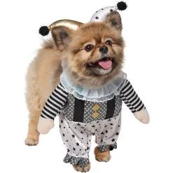 Frisco Front Walking Glitter Clown Dog & Cat Costume -Pet Supplies Shop 707542 PT3. AC SS1800 V1689278296