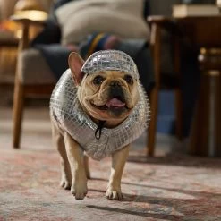 Frisco Disco Ball Dog & Cat Costume -Pet Supplies Shop 707934 PT7. AC SS1800 V1689271312